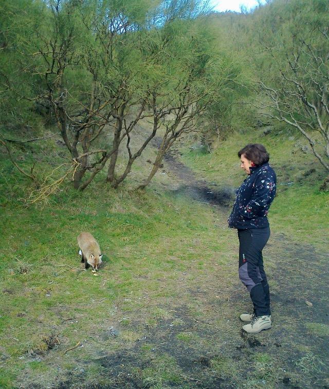 Etna Glob&B Hiking ซัฟเฟรานา เอตเนอา ภายนอก รูปภาพ